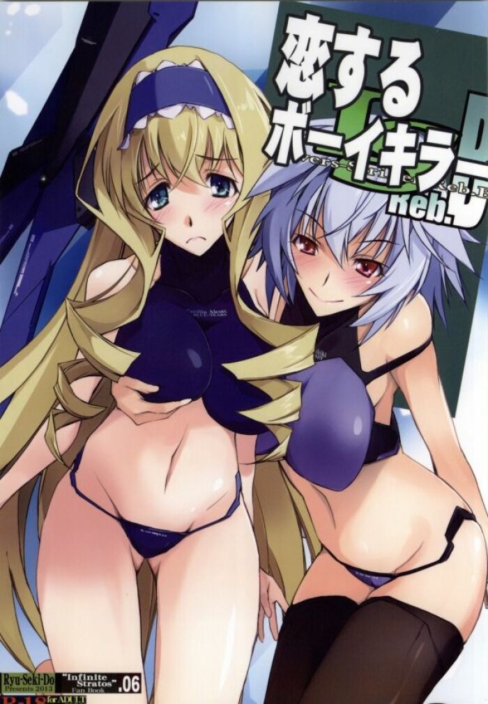 Infinite Stratos Ehentai