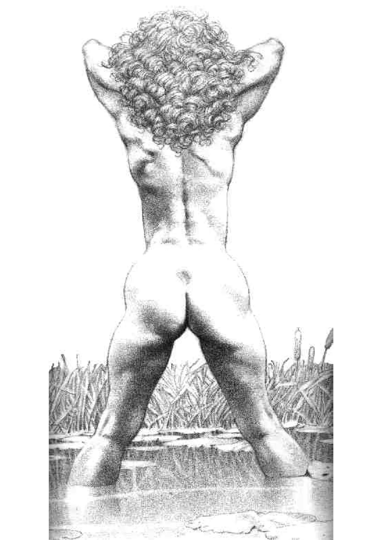 [Frank Frazetta] Artbook [English] - Page 208