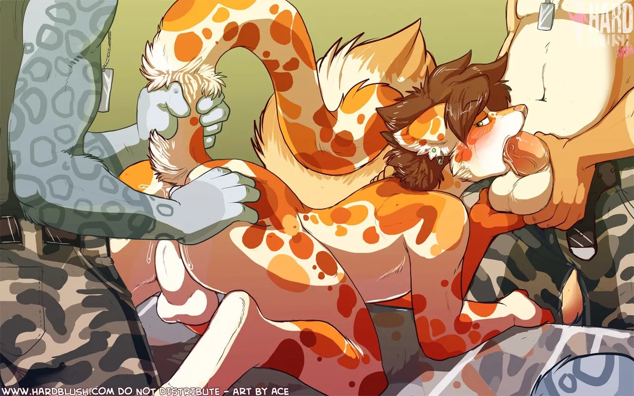 Hard Blush Site Rip - Page 27