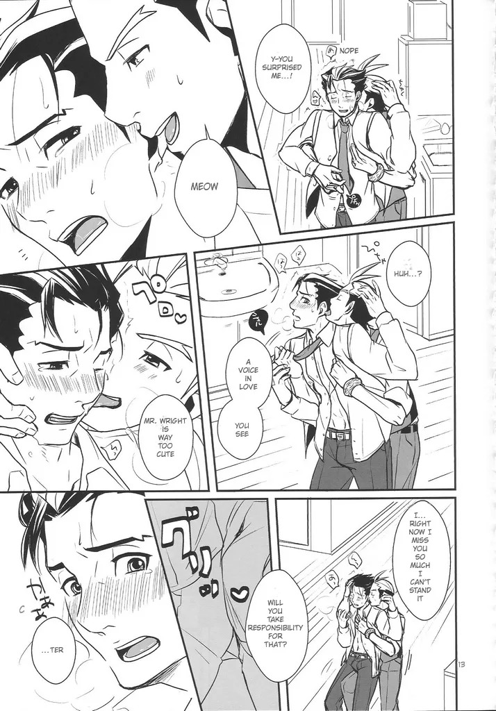 [TechniQa] Meow (Gyakuten Saiban 5) - Page 12