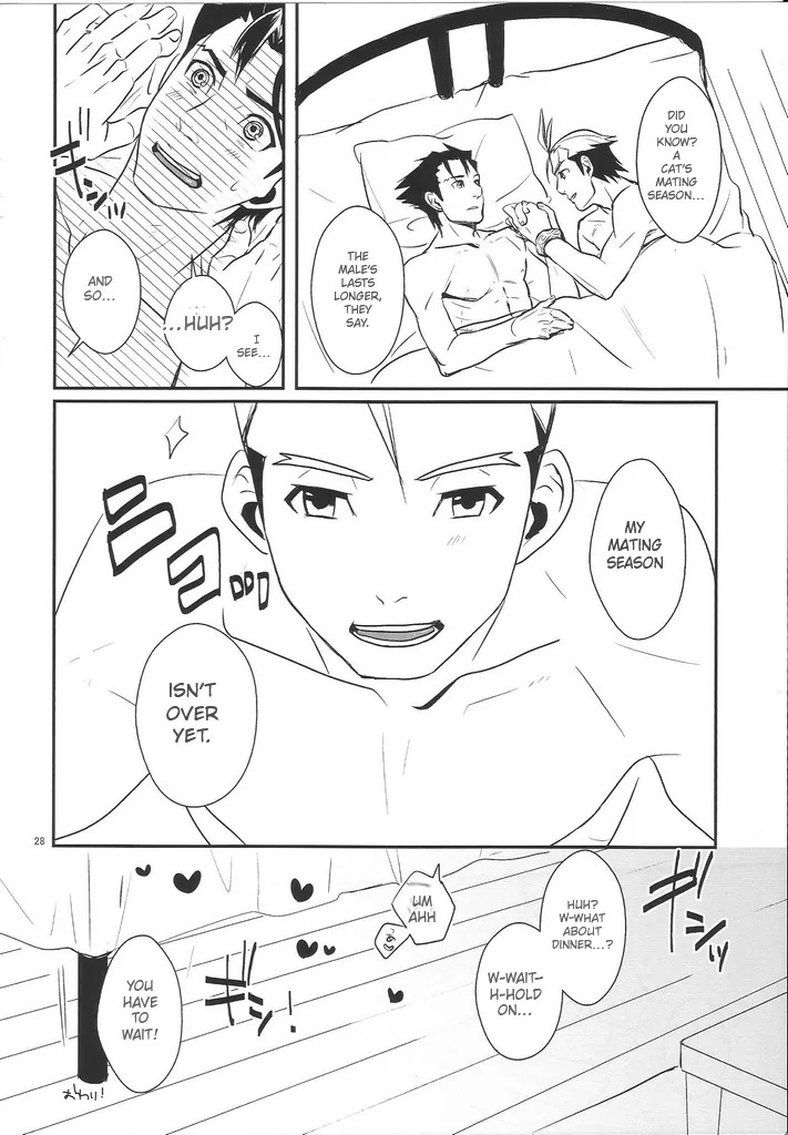 [TechniQa] Meow (Gyakuten Saiban 5) - Page 27
