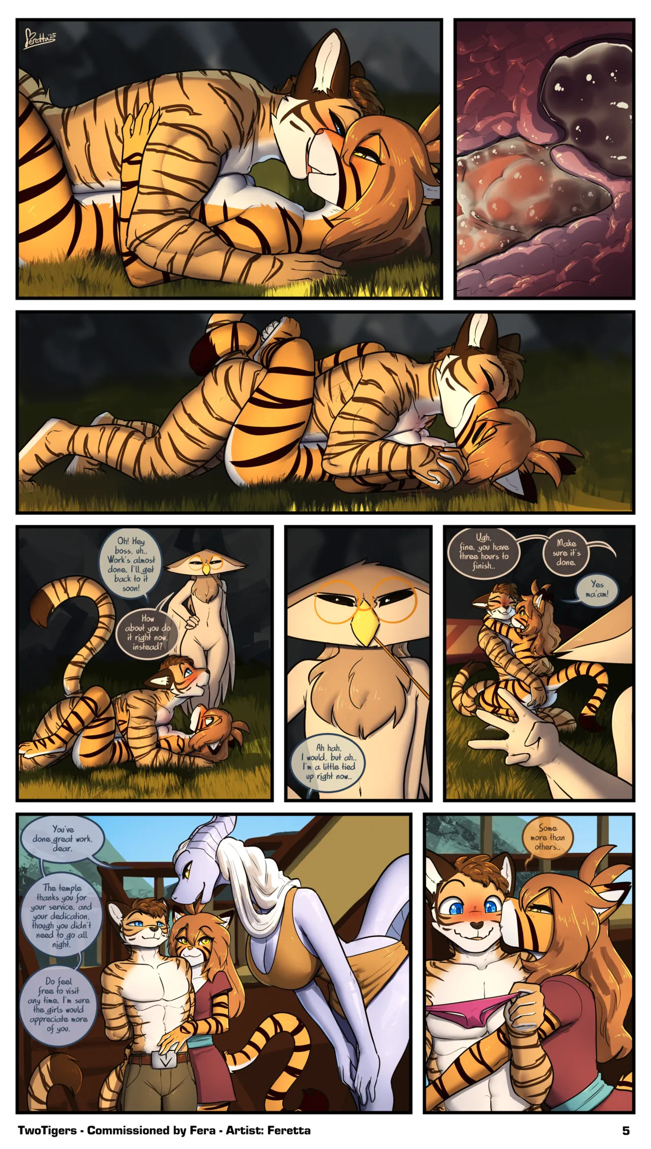 Preview page 5