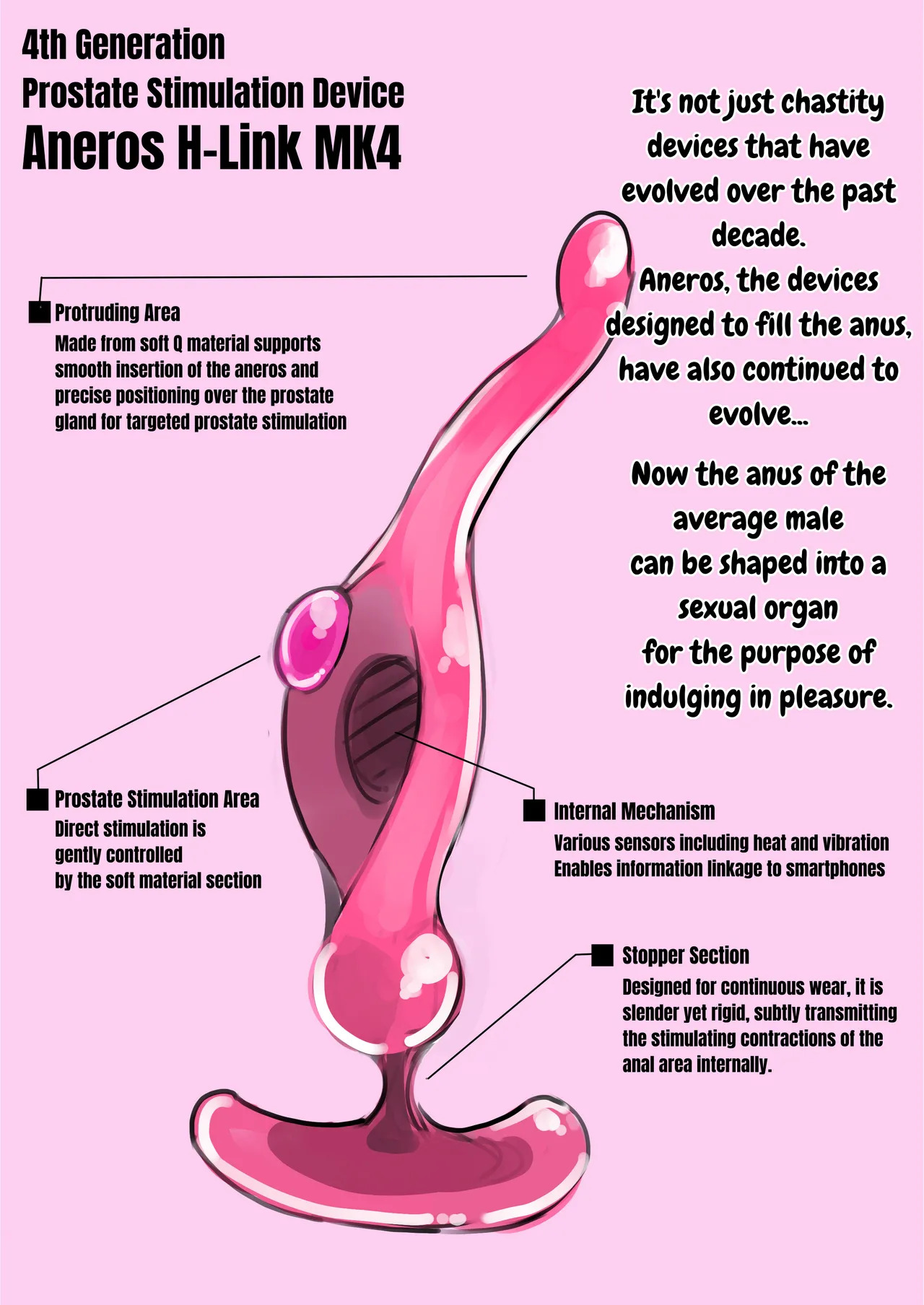 [SWEETTABOO (ryokutya)] The New Generation Chastity Device and The Culture of Feminization Training - Page 13
