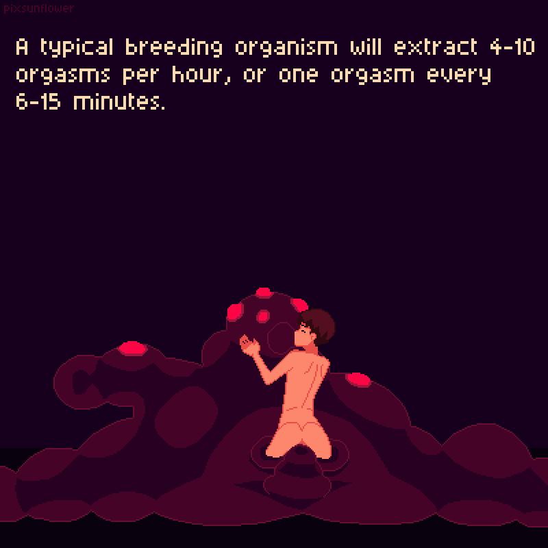 [PixSunflower] The Caprini Breeding Program - Page 79