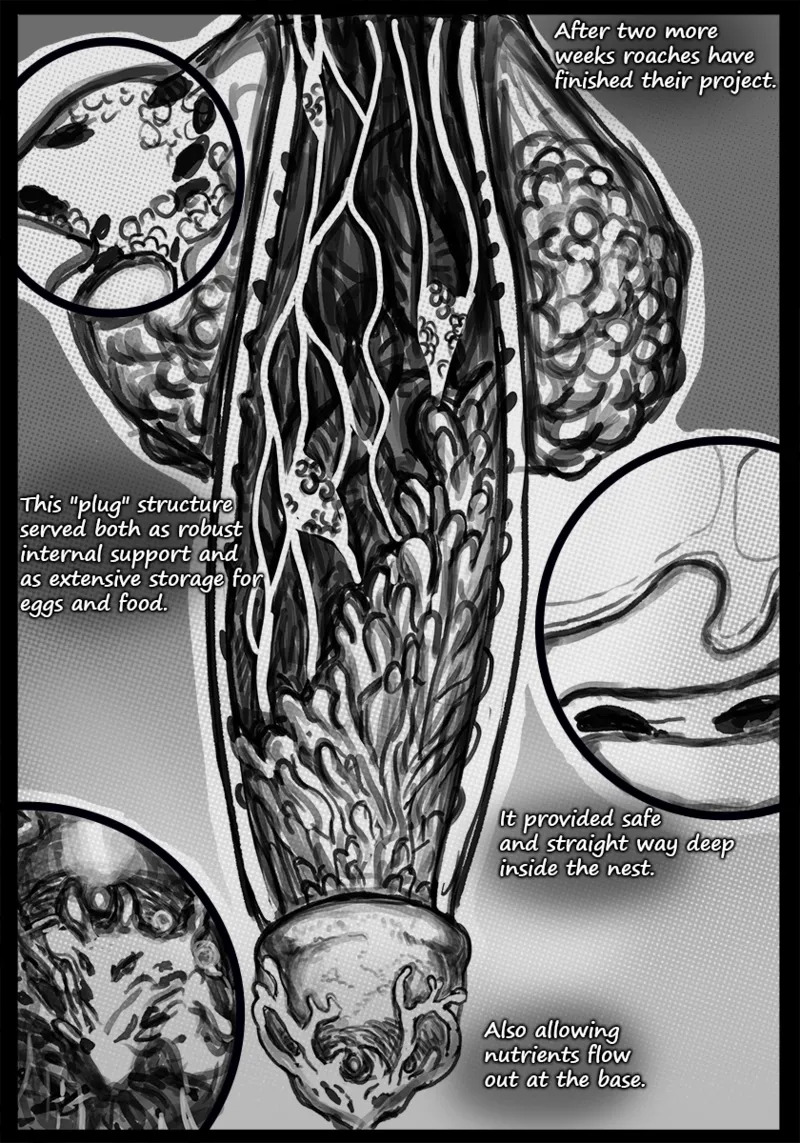 [Qusia] Please keep your penis away from the bugs! (Ongoing) - Page 69