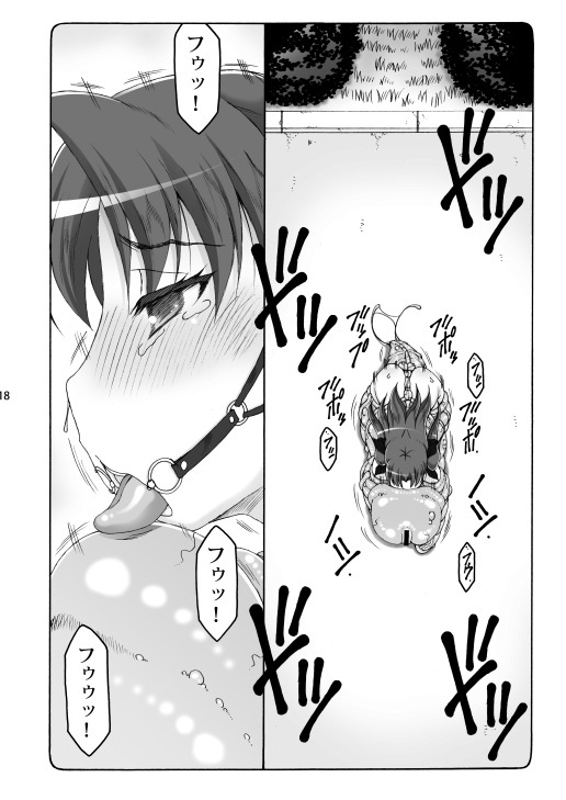 [Abarenbou Tengu (Izumi Yuujiro)] Kotori Soushuuhen 2 Digital Version(Fate/stay night) [Digital] - Page 17