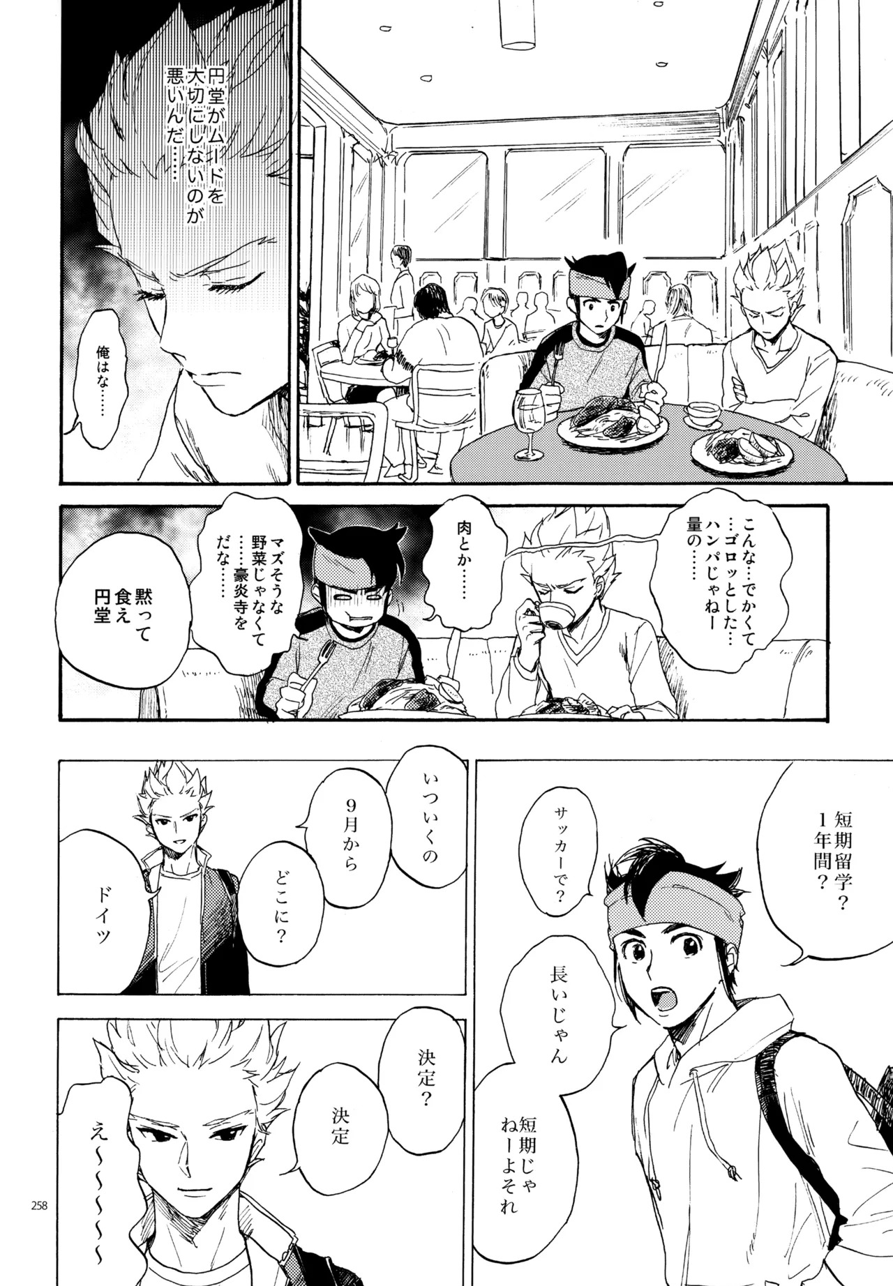 [Nekodaisuki (Yunopanchako)] 再録本NO：3 (Inazuma Eleven) - Page 259