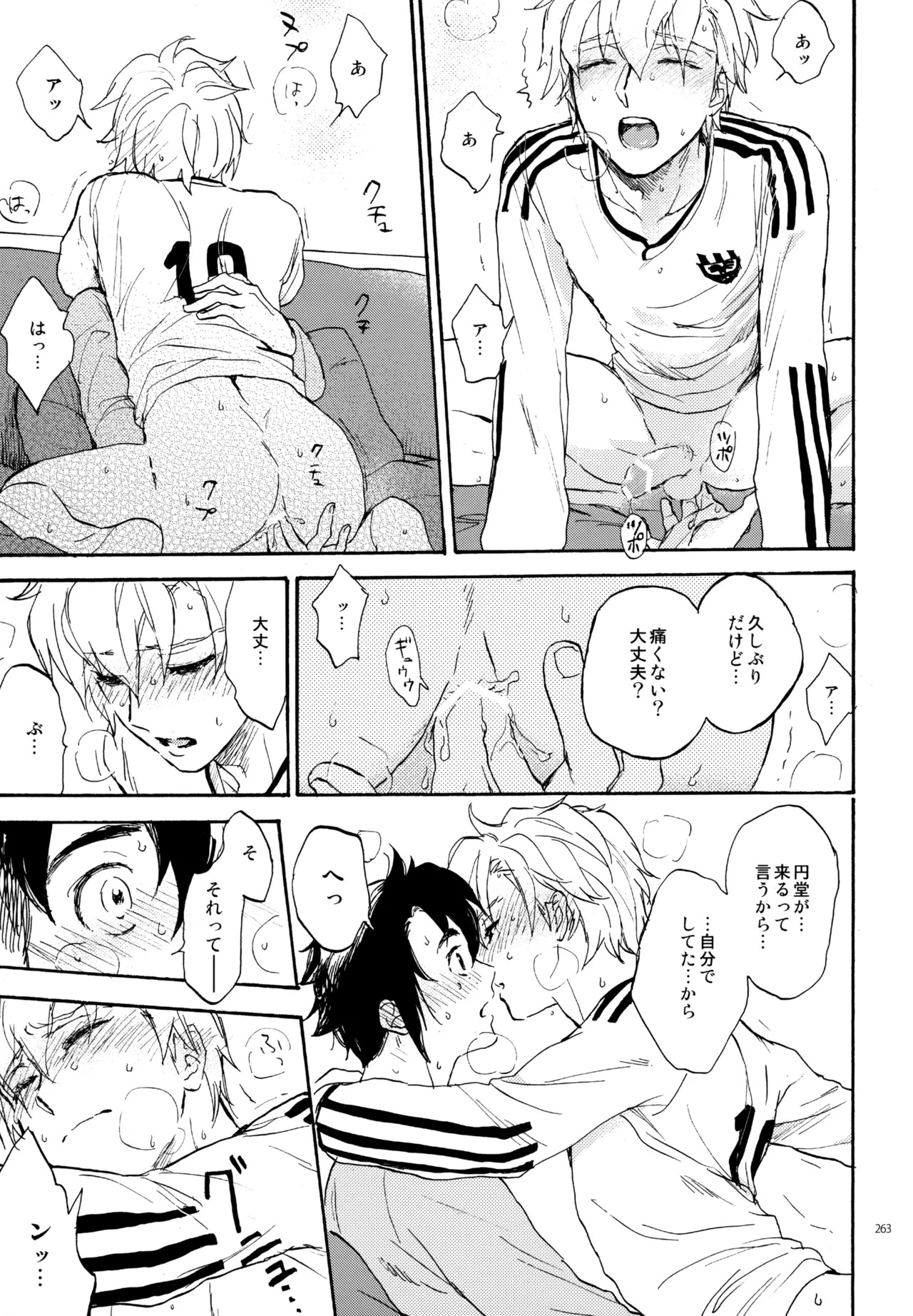 [Nekodaisuki (Yunopanchako)] 再録本NO：3 (Inazuma Eleven) - Page 264
