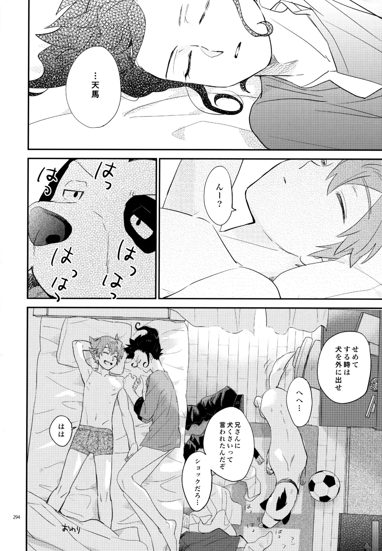 [Nekodaisuki (Yunopanchako)] 再録本NO：3 (Inazuma Eleven) - Page 295