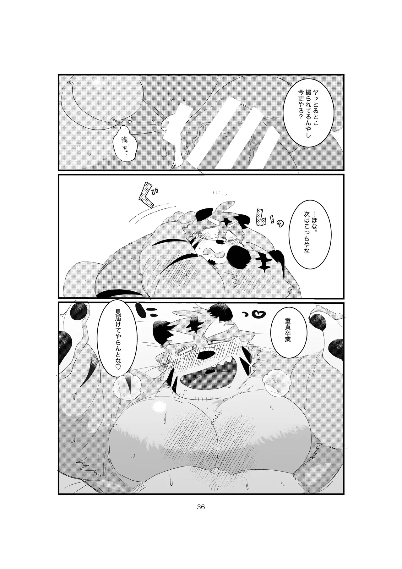 [ヒャクhyaku] 双子の関西弁虎おっさんが騙されてAV出演する本 [Japanese][Digital] - Page 34