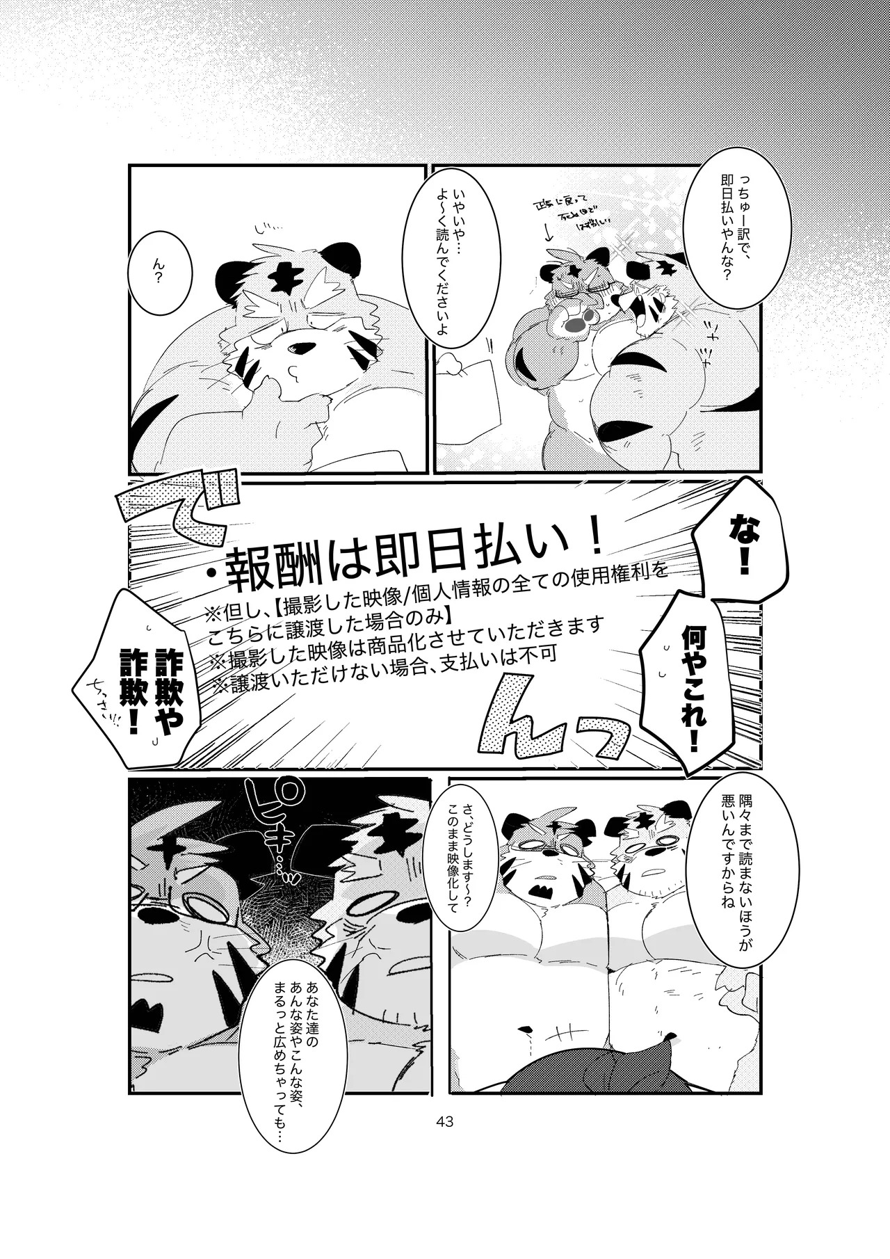[ヒャクhyaku] 双子の関西弁虎おっさんが騙されてAV出演する本 [Japanese][Digital] - Page 41