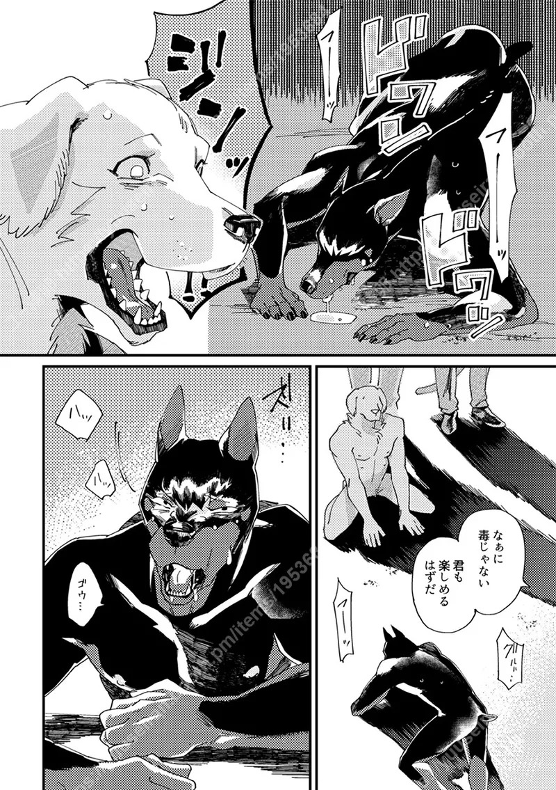 [（ユー精卵）戸ひつ ] meow bow dow wow [Digital][Japnese] - Page 16