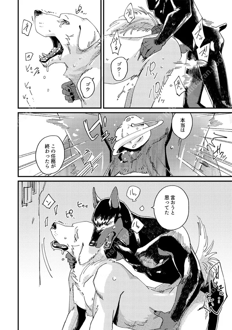 [（ユー精卵）戸ひつ ] meow bow dow wow [Digital][Japnese] - Page 19