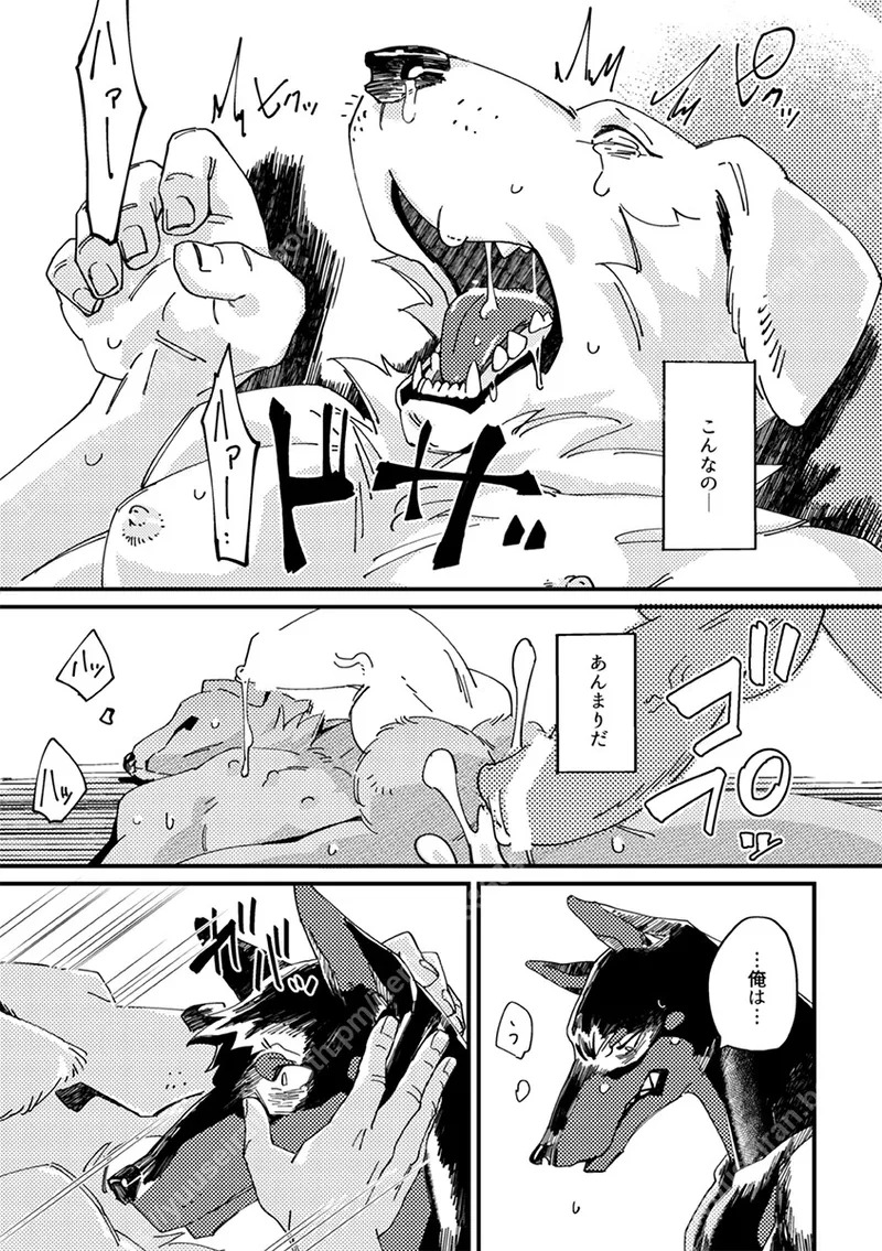 [（ユー精卵）戸ひつ ] meow bow dow wow [Digital][Japnese] - Page 21