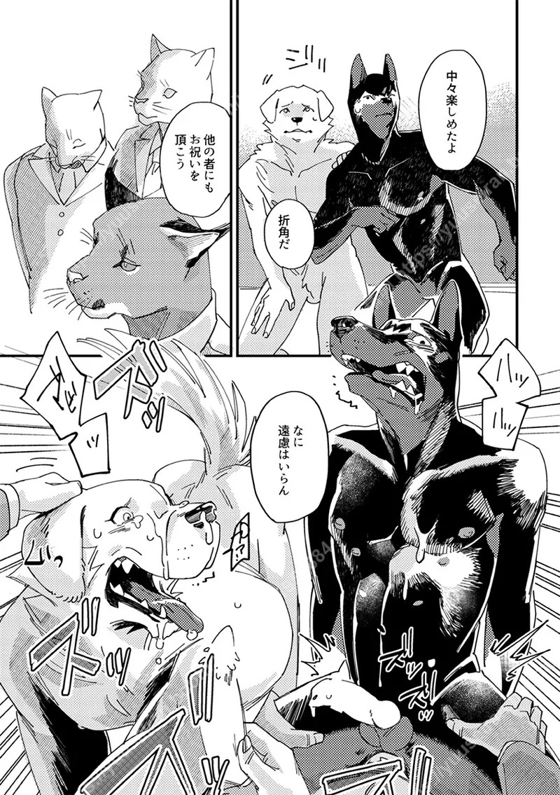 [（ユー精卵）戸ひつ ] meow bow dow wow [Digital][Japnese] - Page 23