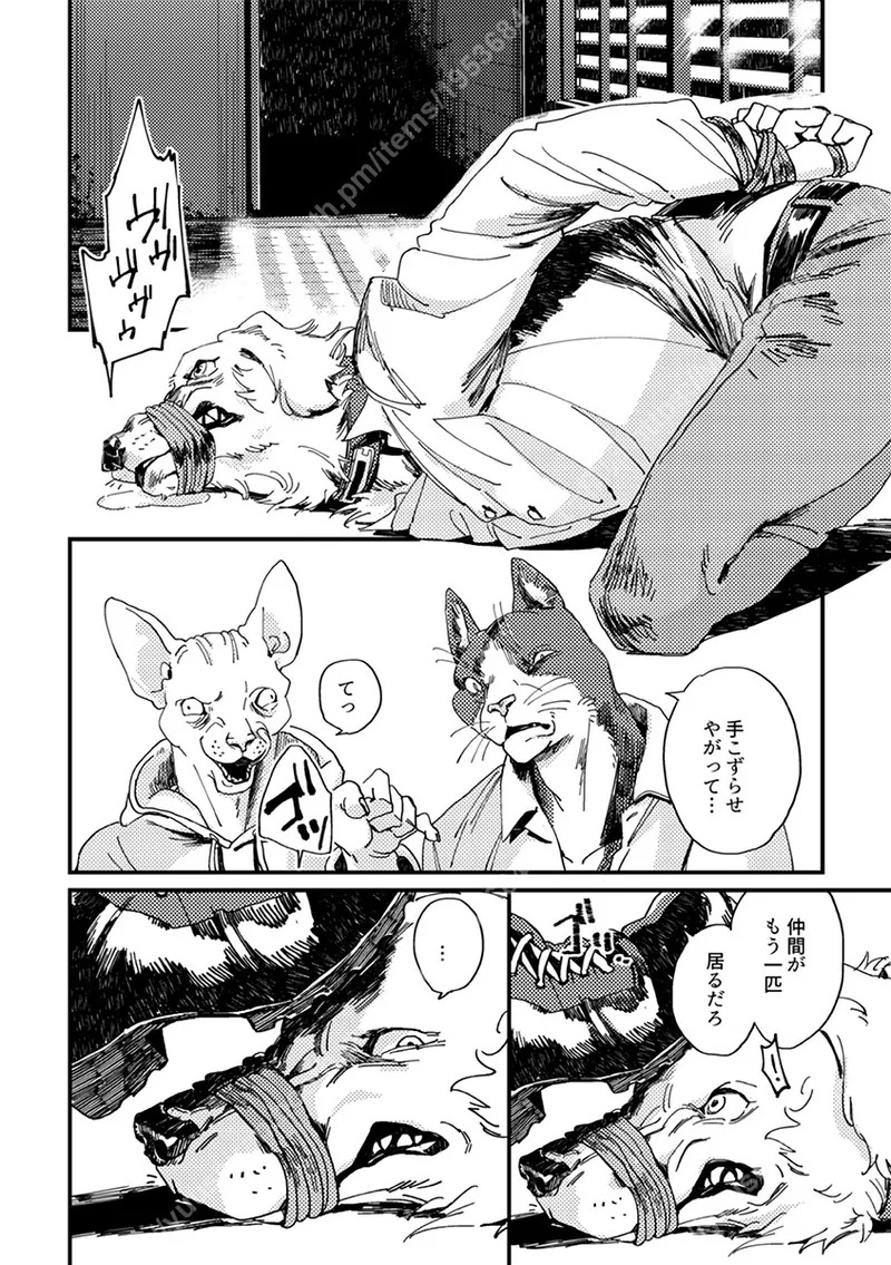 Preview page 7