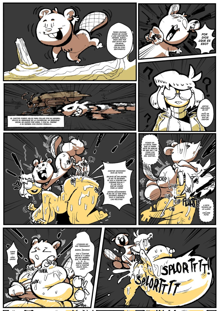 [NORTH STAR 500] The Boss x Castorsito