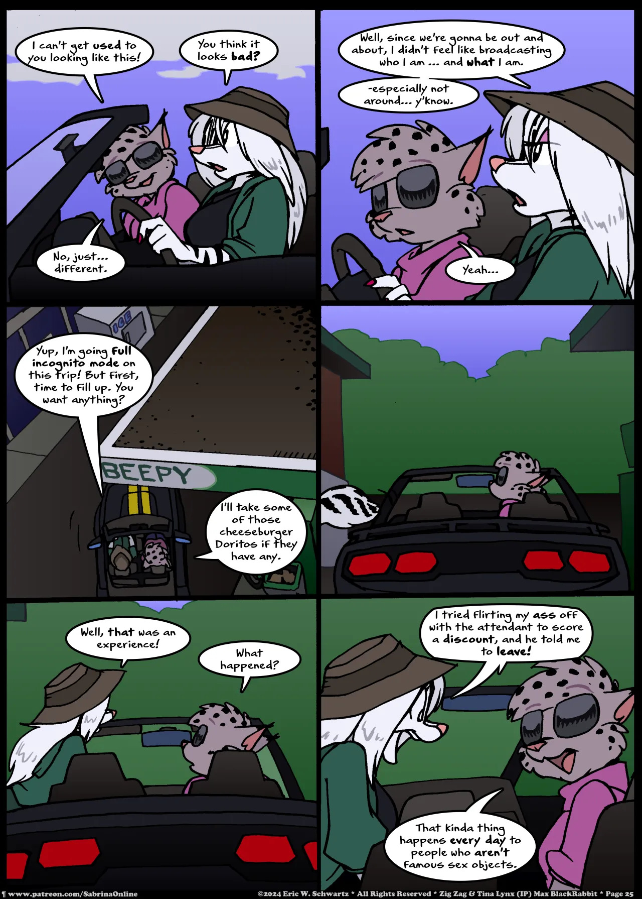 [Eric W. Schwartz] Sabrina Online - Stripes and Links - Page 25