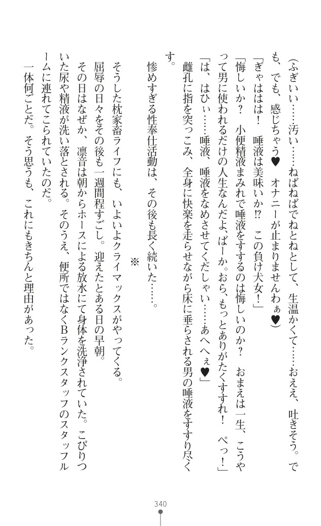 変身聖姫シルヴィアハート ～家畜となった敗北ヒロイン～ - Page 343