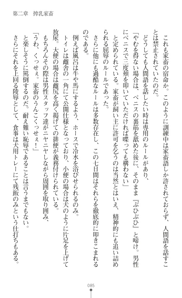 変身聖姫シルヴィアハート ～家畜となった敗北ヒロイン～ - Page 95