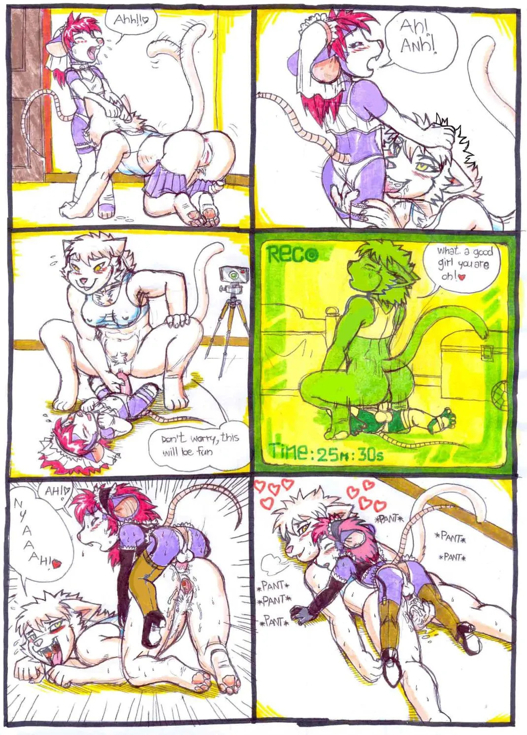 Preview page 5
