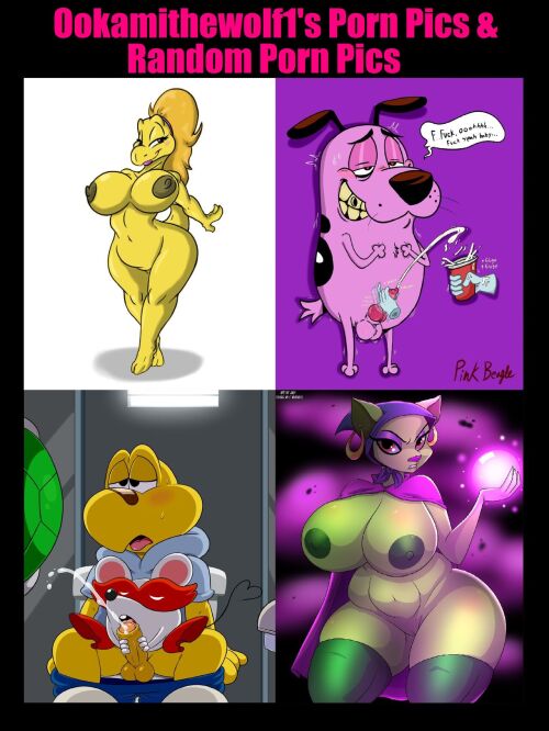 Gollandiyadagi erotik jinsiy aloqa